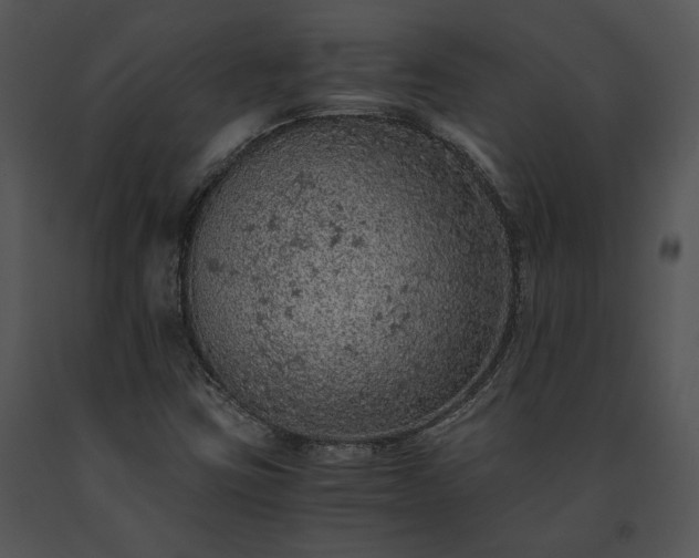X0000091651403200708301410