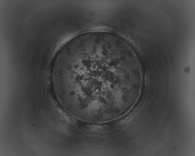 X0000091651405200708301410