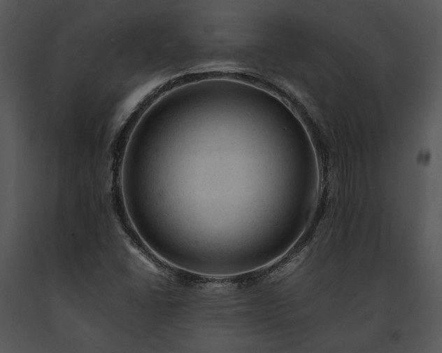 X0000091651406200708301410