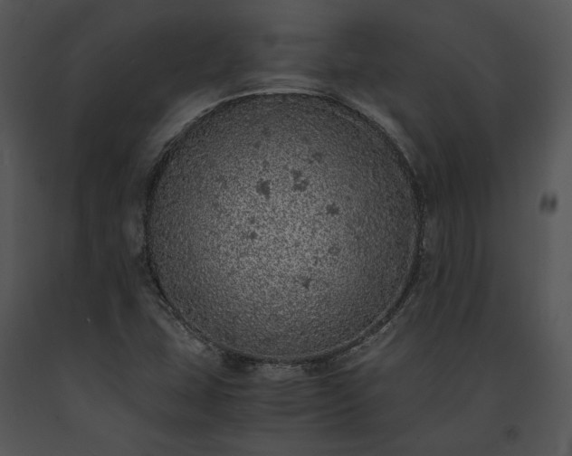 X0000091651407200708301410