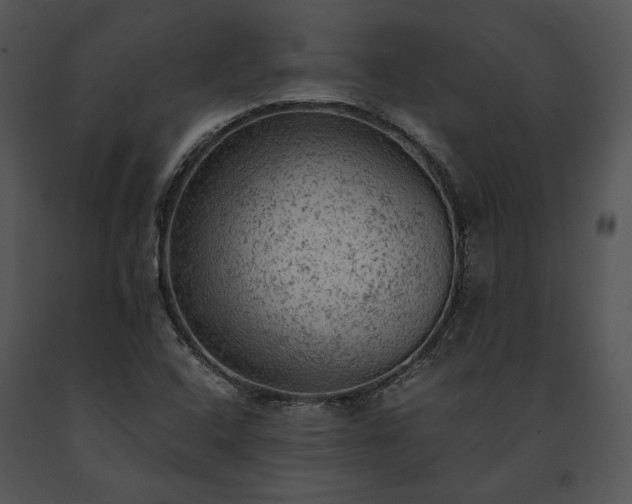 X0000091651408200708301410