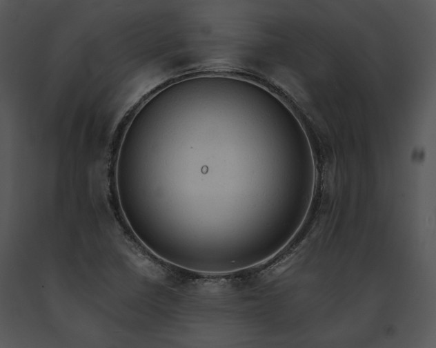 X0000091651410200708301410