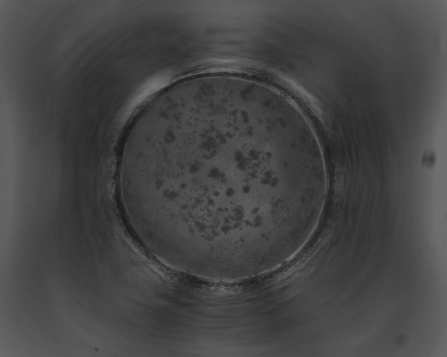 X0000091651411200708301410