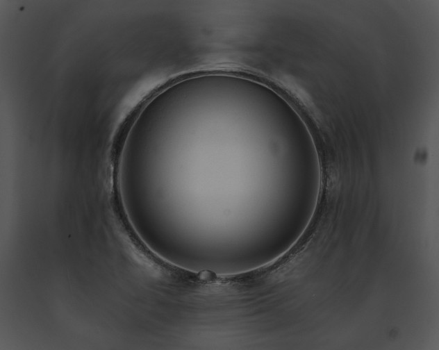 X0000091651414200708301410
