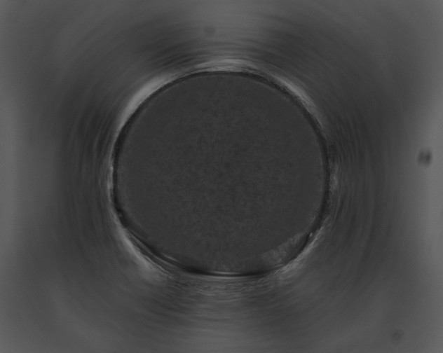 X0000091651418200708301410