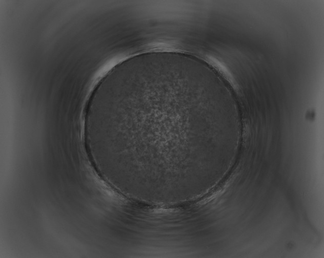 X0000091651419200708301410