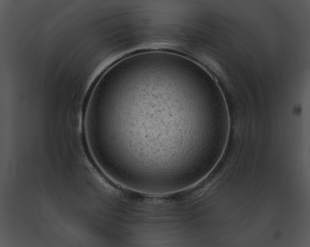 X0000091651420200708301410