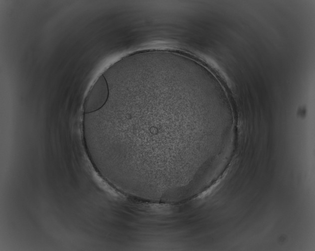 X0000091651421200708301410