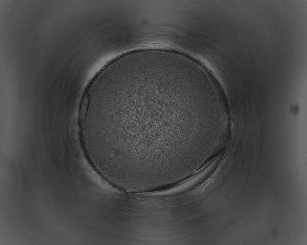 X0000091651422200708301410