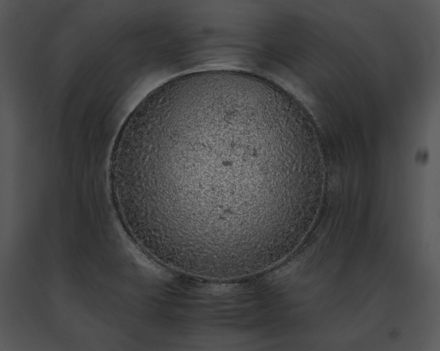 X0000091651423200708301410