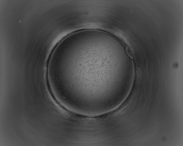 X0000091651424200708301410