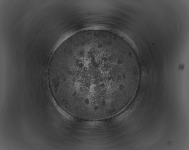 X0000091651425200708301410