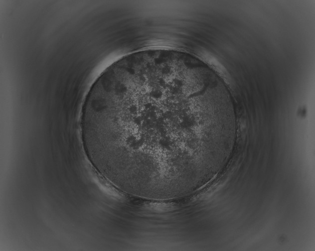 X0000091651427200708301410