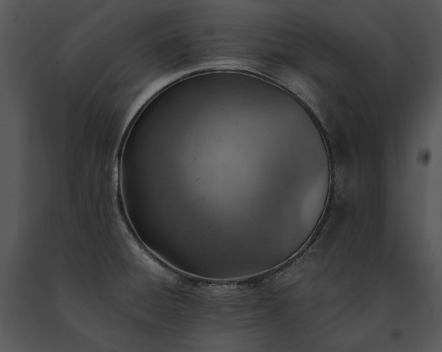 X0000091651428200708301410