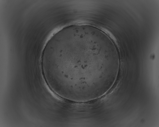 X0000091651429200708301410