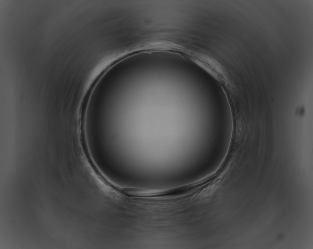 X0000091651430200708301410