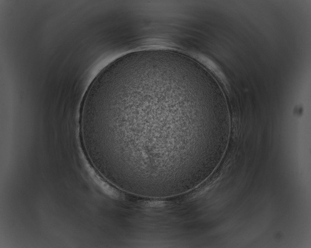X0000091651431200708301410