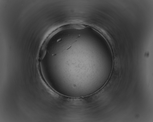 X0000091651432200708301410