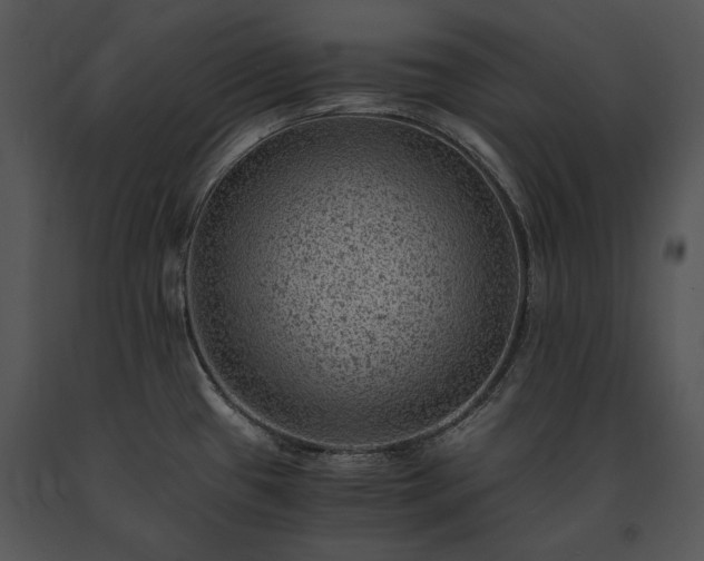 X0000091651433200708301410