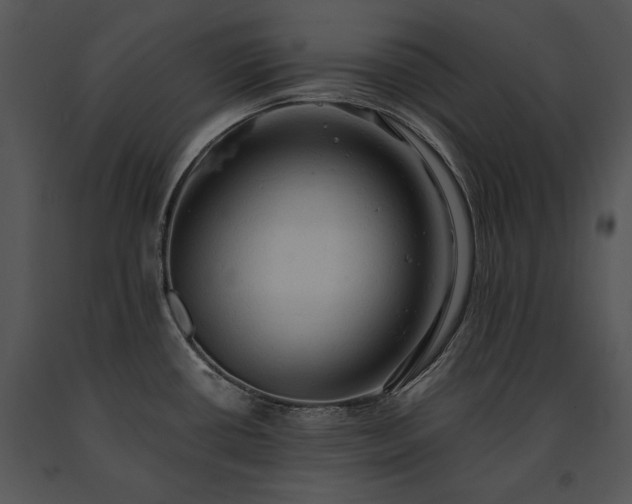 X0000091651434200708301410