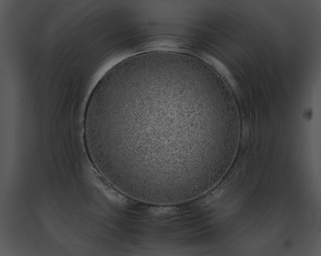 X0000091651435200708301410
