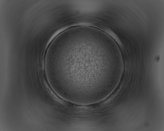 X0000091651436200708301410