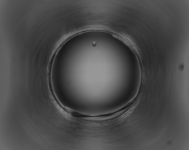 X0000091651438200708301410