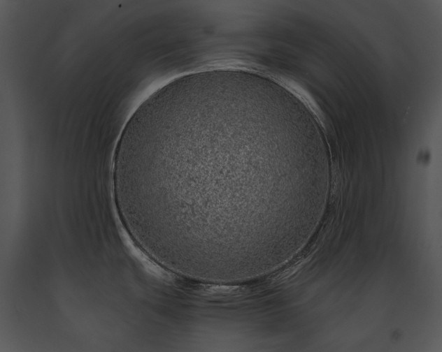 X0000091651439200708301410