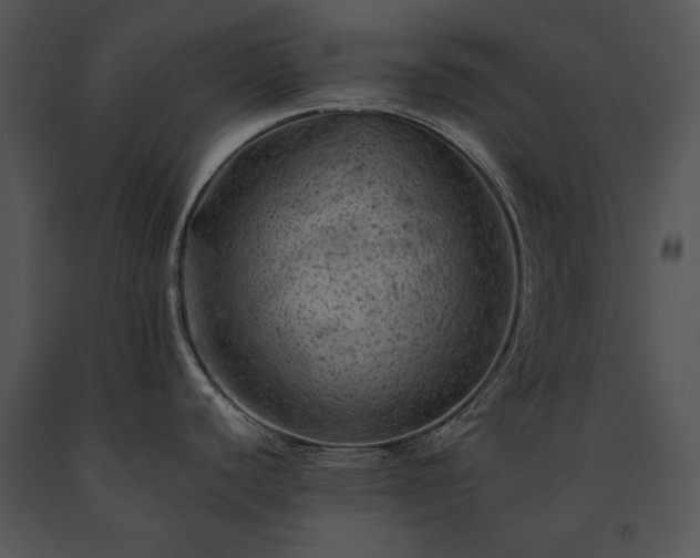 X0000091651440200708301410