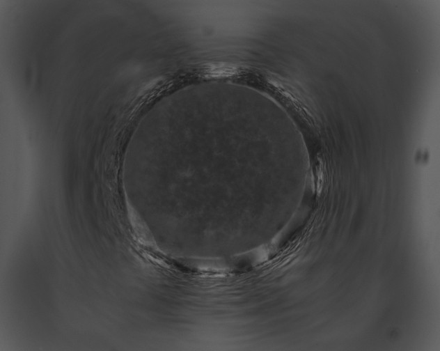 X0000091651441200708301409