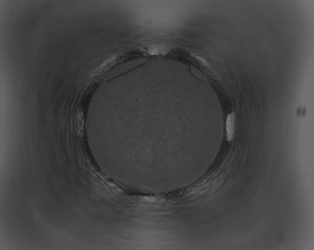 X0000091651443200708301409