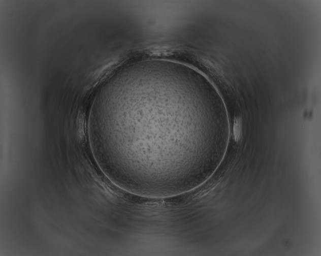 X0000091651444200708301409