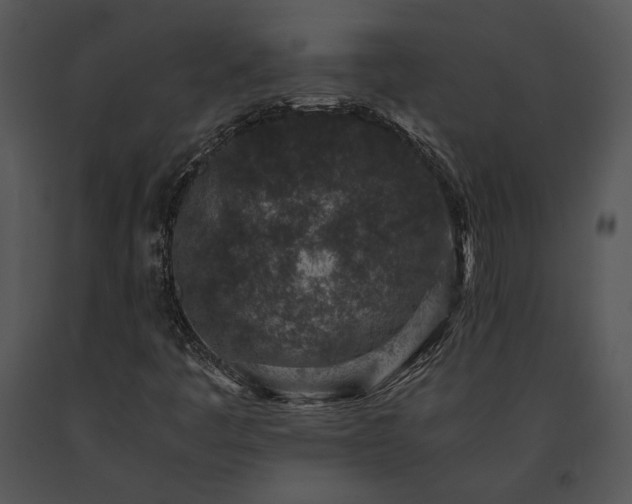 X0000091651445200708301409