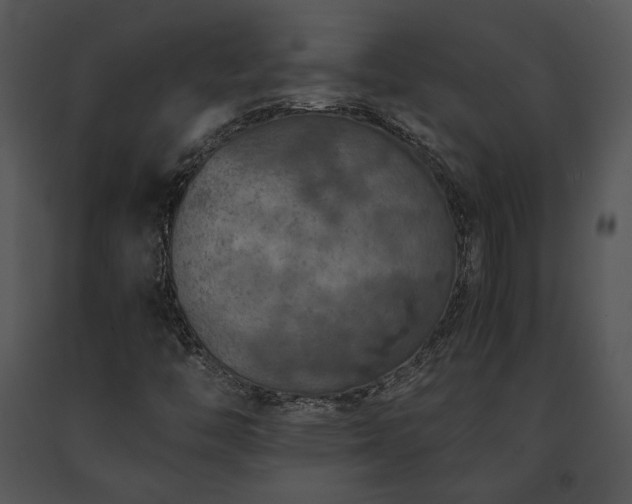 X0000091651446200708301409
