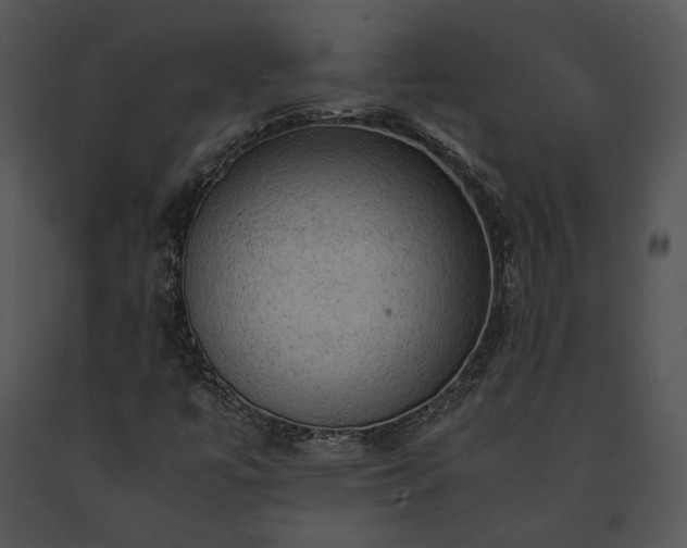 X0000091651447200708301409