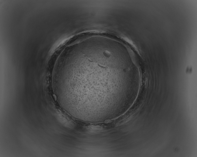 X0000091651448200708301409