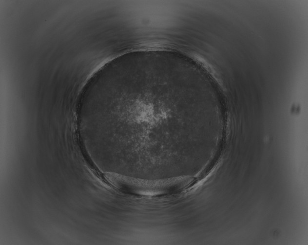 X0000091651449200708301409