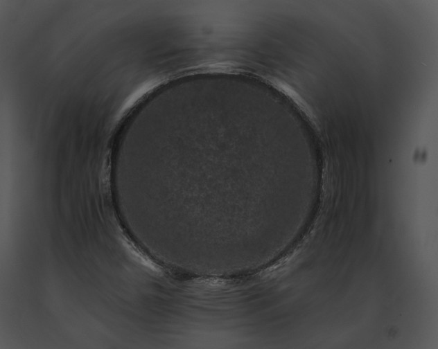 X0000091651450200708301409