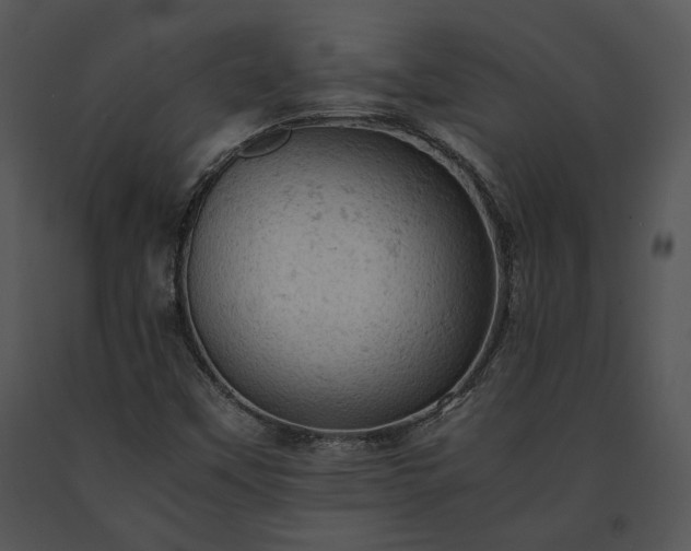 X0000091651451200708301409
