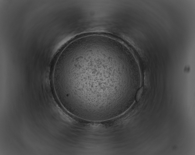 X0000091651452200708301409
