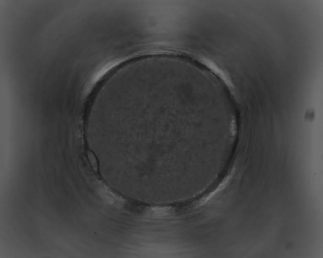 X0000091651453200708301409