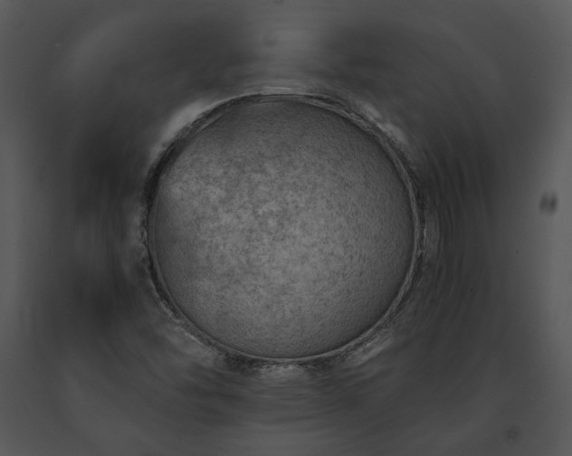 X0000091651454200708301409