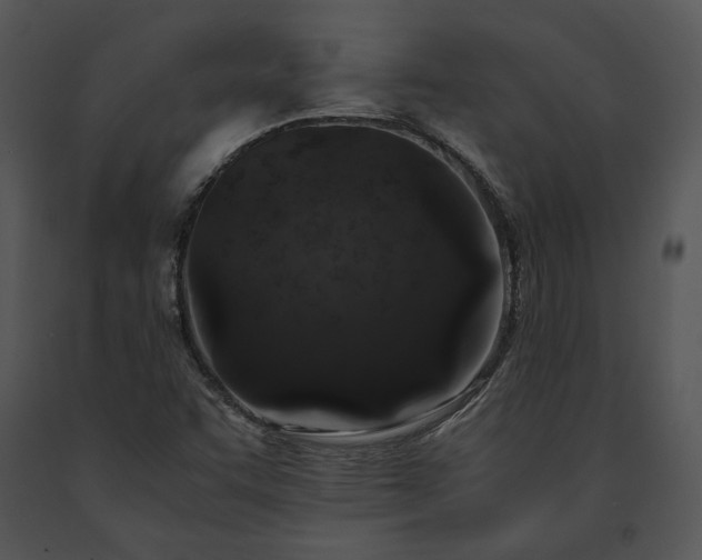 X0000091651455200708301409