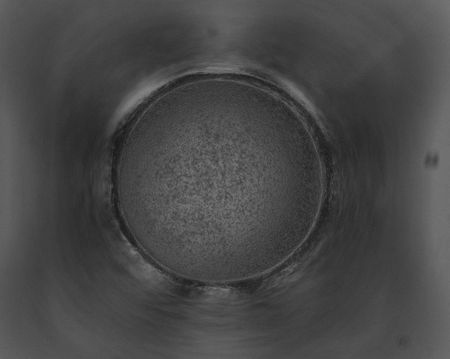 X0000091651456200708301409