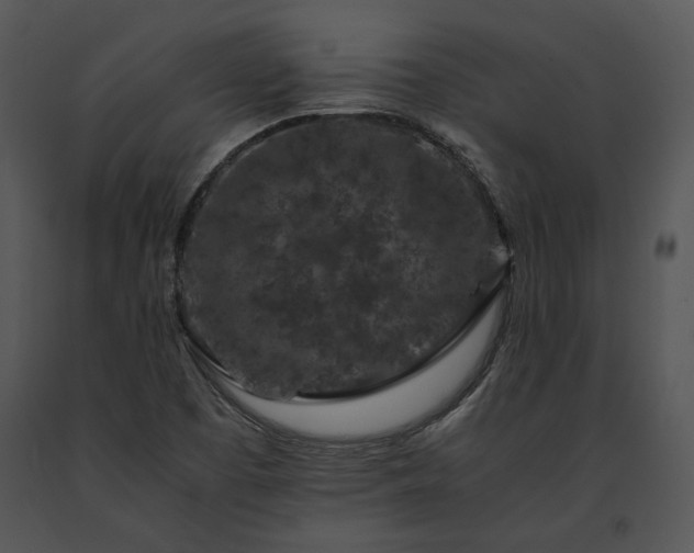 X0000091651457200708301409
