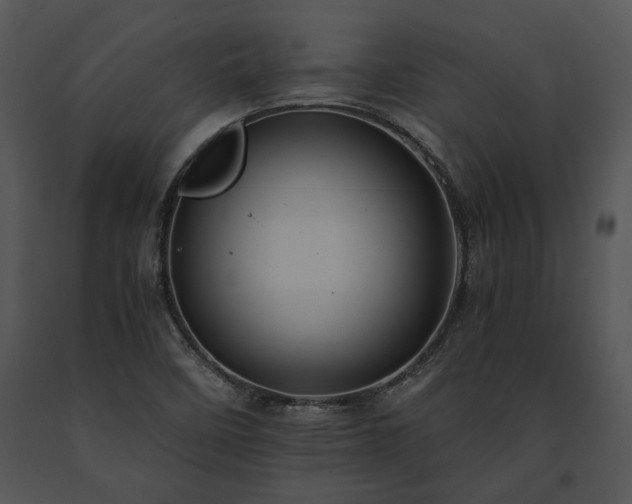 X0000091651458200708301409