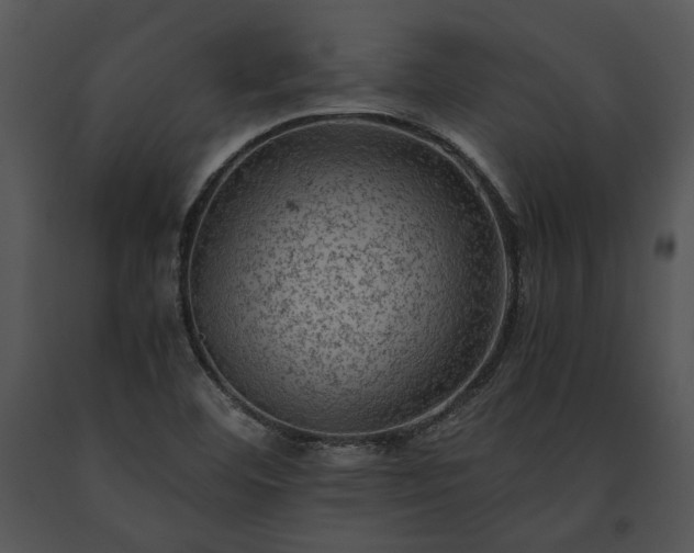 X0000091651460200708301409
