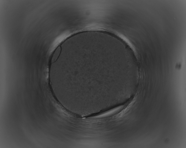 X0000091651461200708301409