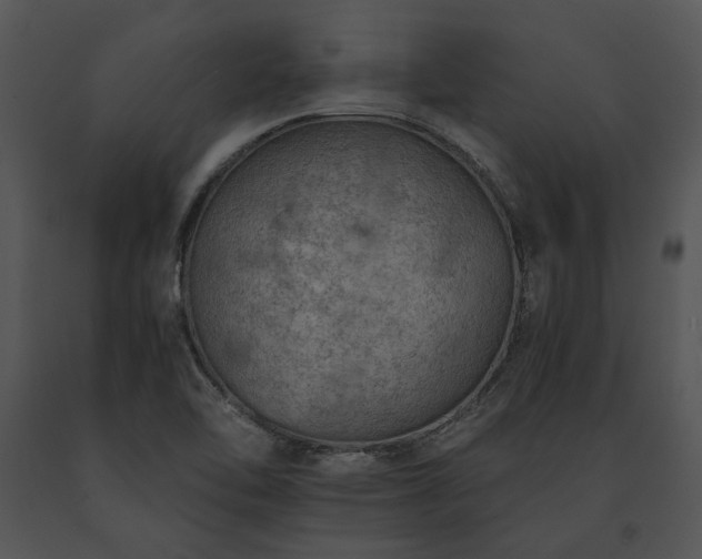 X0000091651462200708301409