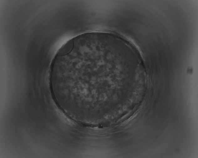 X0000091651463200708301409